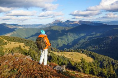 Çimenlikteki yabanmersini turisti spor kıyafetleri ve turistik çadırlarda sırt çantasıyla kalıyor. Dağların manzarası. Turistik tatil beldesi Karpatyalı, Ukrayna Avrupa.