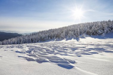 Güneşli bir günde kış manzarası. Dağ manzaraları. Beyaz karla kaplı ağaçlar.