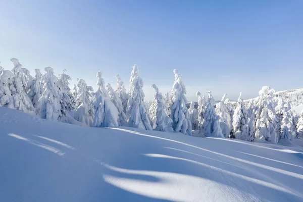 Paisajes de invierno en el día soleado. Paisajes de montaña. Árboles cubiertos de nieve blanca . — Foto de Stock