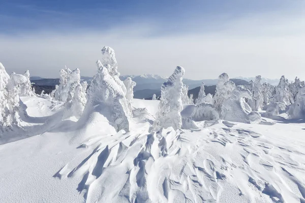 Zimowa sceneria w słoneczny dzień. Górskie krajobrazy. Drzewa pokryte białym śniegiem. — Zdjęcie stockowe