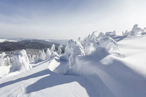 Güneşli bir günde kış manzarası. Dağ manzaraları. Beyaz karla kaplı ağaçlar. — Stok fotoğraf