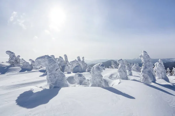 화창 한 날의 겨울 풍경. 산악 풍경. 하얀 눈으로 덮인 나무들. — 스톡 사진