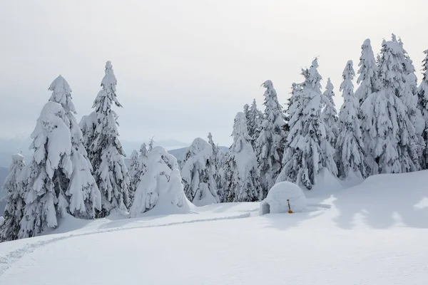 Szeroki szlak prowadzi do śnieżnego igloo. Zimowe krajobrazy górskie. Lokalizacja miejsce Karpaty, Ukraina, Europa. — Zdjęcie stockowe