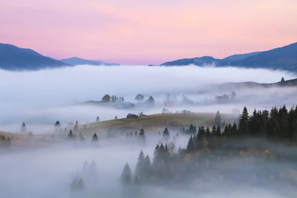 Paesaggio Autunno Scenario Dell Alba Sulle Alte Montagne Nebbia Densa — Foto Stock