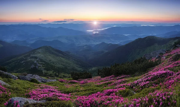 Prachtige Zonsondergang Hoge Berg Panoramisch Uitzicht Het Gazon Zijn Bedekt — Stockfoto