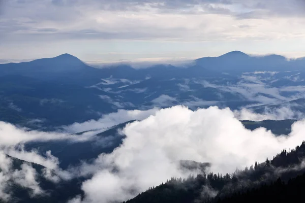 Krajobraz Wysokimi Górami Mglisty Las Sosen Majestatyczny Letni Dzień Poranna — Zdjęcie stockowe