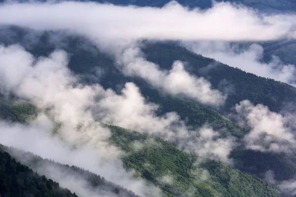 Niesamowity Krajobraz Wysokimi Górami Poranna Mgła Majestatyczny Wiosenny Dzień Gęsta — Zdjęcie stockowe