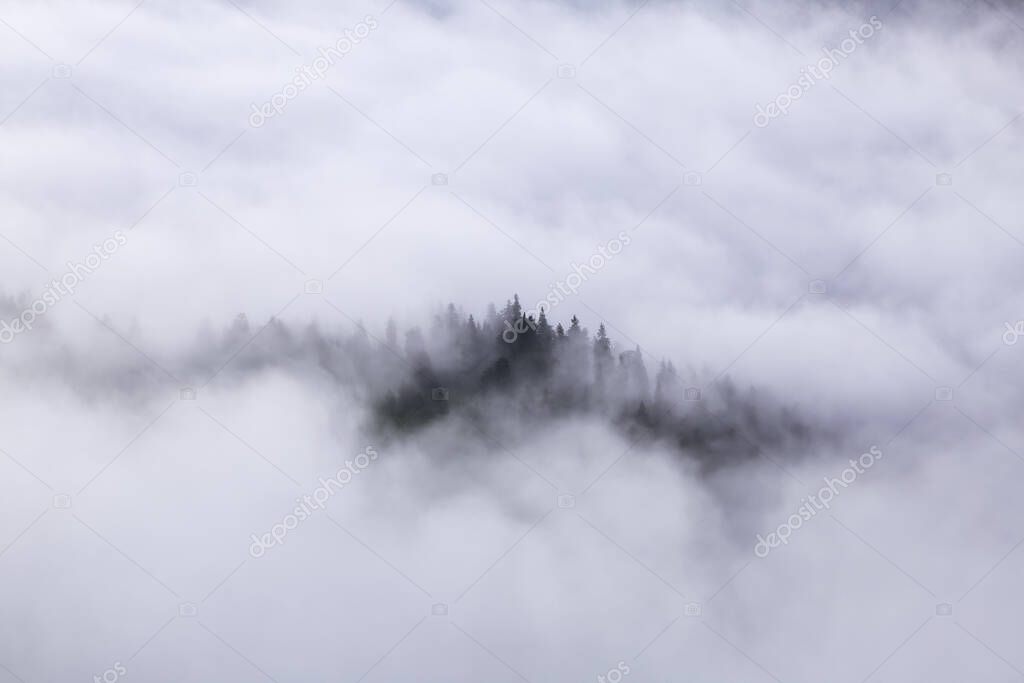 Amazing landscape with high mountains, fog and sky. The early morning mist. Majestic spring day. Dense fog with beautiful light. The lawn with green grass. Free space for text.