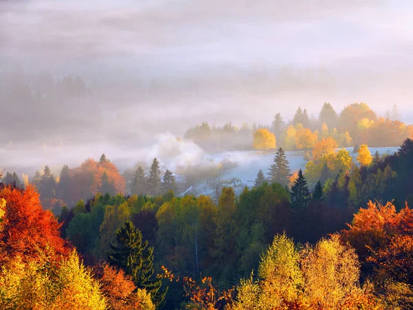 Amazing Autumn Rural Landscape Fantastic Scenery Morning Fog Lawn Enlightened — Stock Photo, Image