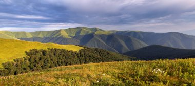 Dağların manzarası. Bahçede panoramik manzara. Orman. Yaz manzarası. Bulutlu dramatik gökyüzü. Karpatlar 'ın yeri, Ukrayna, Avrupa. İnanılmaz yaz dönemi duvar kağıdı arkaplanı.