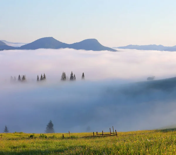 Tájkép Magas Hegyekkel Kora Reggeli Köd Csodálatos Ködös Őszi Nap — Stock Fotó