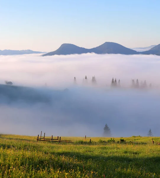 Krajobraz Wysokimi Górami Poranna Mgła Niesamowity Mglisty Jesienny Dzień Las — Zdjęcie stockowe