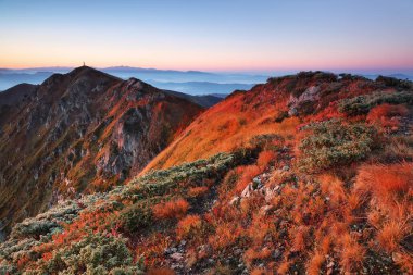 Gün doğumu. Sonbahar sabahı. Sonbahar sahnesi. Yüksek dağlı manzara. Panoramik manzara. Doğa manzarası. Turuncu çimenli çimenler. Sonbahar duvar kağıdı arka planı. Turistik bir yer Karpatya Parkı.