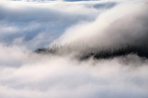 Increíble Día Otoño Brumoso Paisaje Con Altas Montañas Bosque Los — Foto de Stock