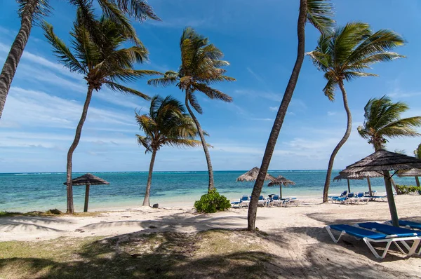 Strand Med Vit Sand Och Blå Vatten Antigua — Stockfoto
