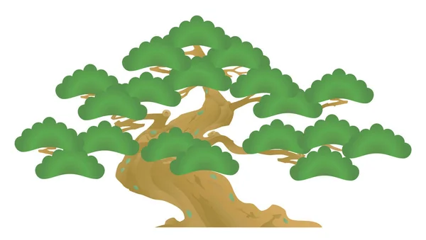Old Pine Tree Bonsai Vector Illustration — Stock Vector