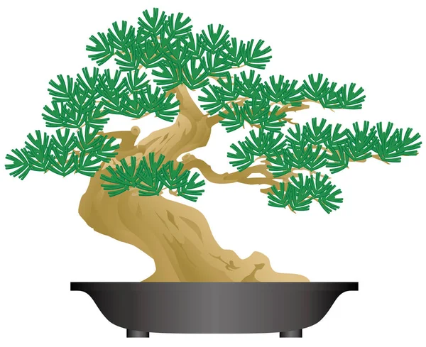 Japanska Bonsai Växt Krukväxt — Stock vektor