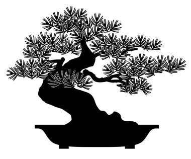 Japon bonsai bitki. Saksılı bitki.