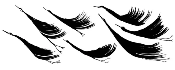 Крановая Птица Мазки Кисти — стоковый вектор