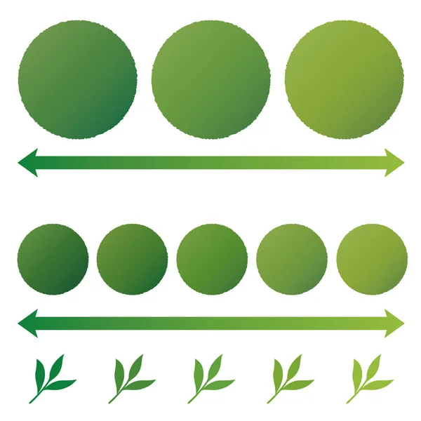 Grados Matcha Verde Colores Sabores — Vector de stock