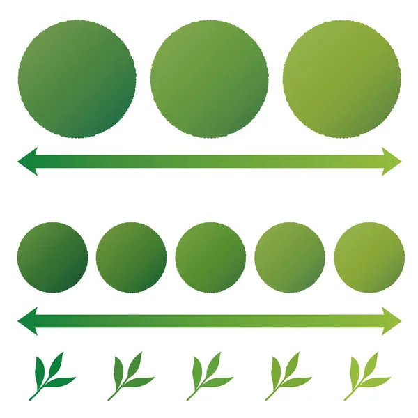 Оцінки Матчі Зелений Чай Кольори Смаки — стоковий вектор