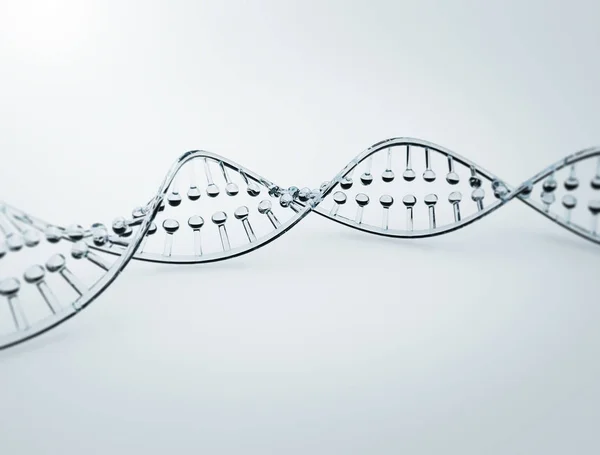 Bir Çift Sarmal Dna Sstrand Glasd Modeli — Stok fotoğraf