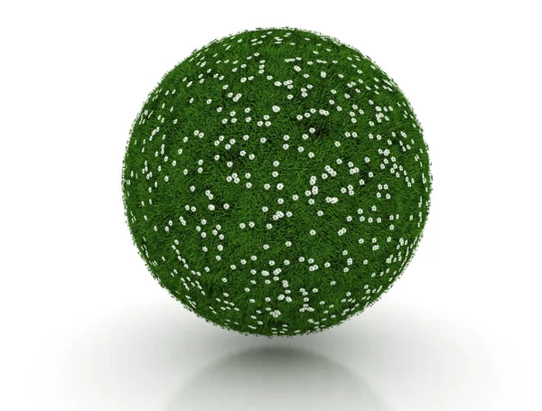 Esfera Grama Verde Com Margaridas Fundo Branco — Fotografia de Stock