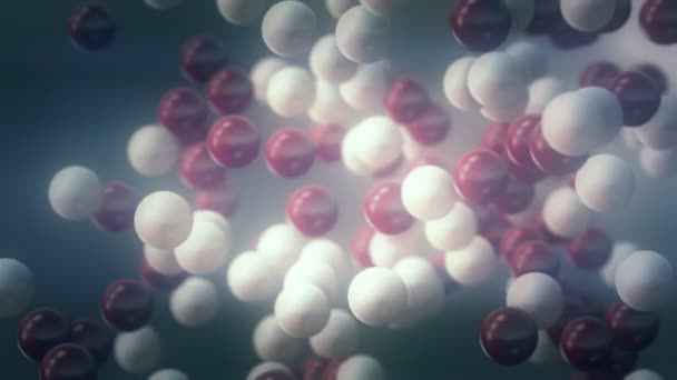 Close Animation Molecules Chemical Research Seamless Loop — Stock Video