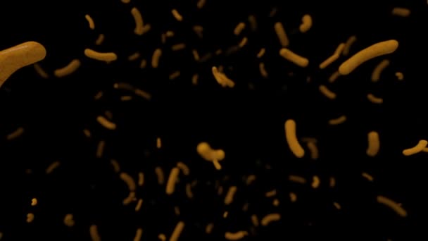 Bacteriën Cellen Achtergrond Naadloze Lus — Stockvideo