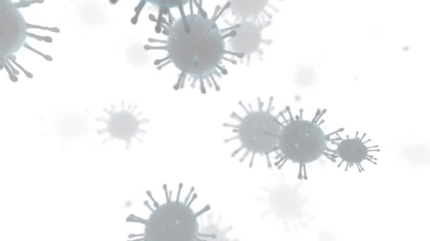 Viruszellen Bewegen Sich Auf Weißem Hintergrund Nahtlose Schleife — Stockvideo
