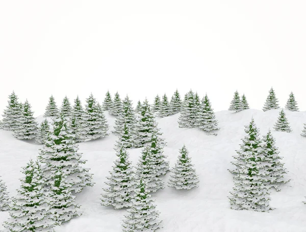 冬の風景雪の風景とモミのクリスマスツリー — ストック写真