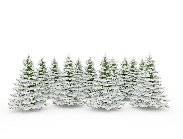 雪に覆われたクリスマスツリーの群し — ストック写真