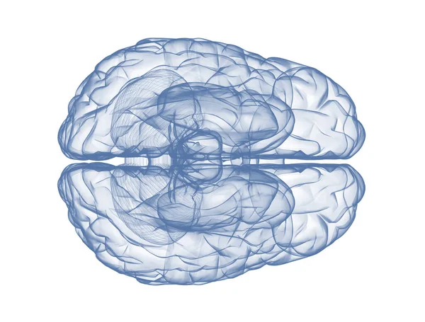 Cérebro Humano Vista Superior Azul Render Isolado Branco — Fotografia de Stock