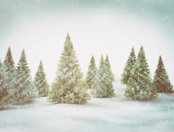 Winter Scene Snow Covered Christmas Pine Trees — Stock Photo, Image