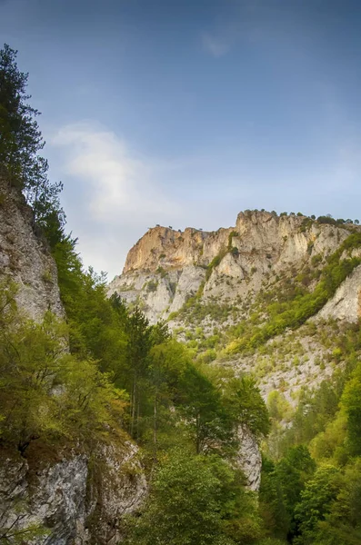Foto Delle Montagne Rodopi Bulgaria — Foto Stock