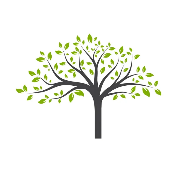 Tek Yeşil Ağaç Çizimi — Stok Vektör