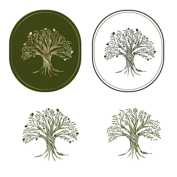 Illustration Olive Tree Set Label Copyspace — стоковый вектор