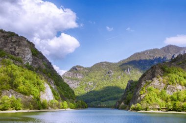 Montains'deki Spring Nehri, Romanya