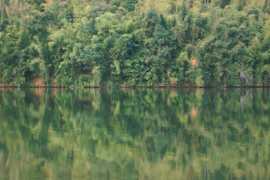 Taze su gölünde tropikal orman yansıması.