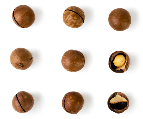 Macadami noix et coquilles sur un blanc, isolé. La vue du haut . — Photo