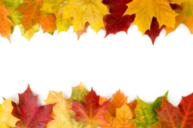 Renkli sonbahar yaprakları arka plan. Üstten görünüm.