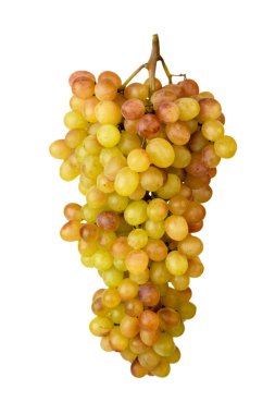 Olgun üzüm bir demet beyaz bir arka plan üzerinde oyulmuş yakın çekim.