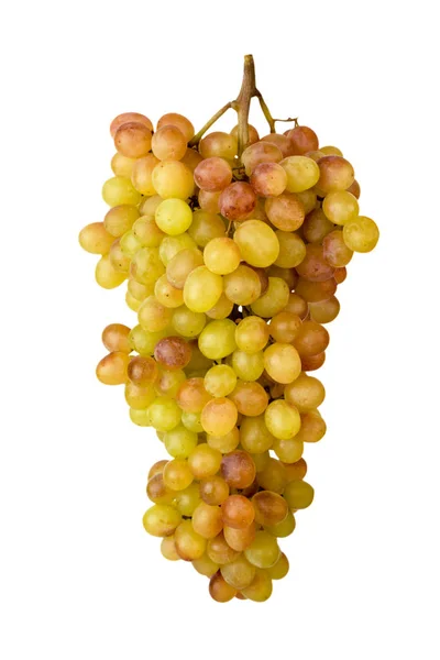 Um monte de uvas maduras esculpidas em um fundo branco, close-up . — Fotografia de Stock