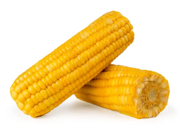 Két főtt kukorica egy fehér háttér, elszigetelt. — Stock Fotó