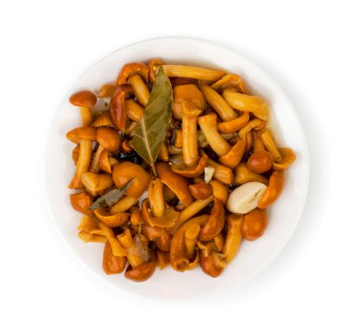 Marine mantar bir plaka üzerinde bir beyaz. Üstten görünüm.