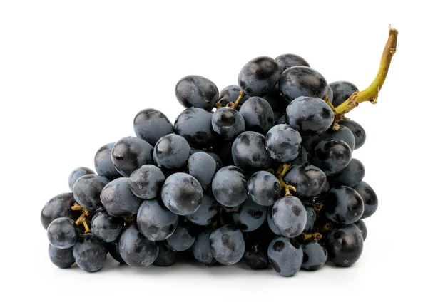 一捆蓝色的葡萄在白色的背景 — 图库照片