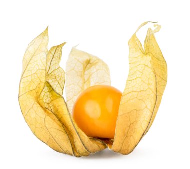 Physalis açık beyaz yakın çekim yaprak. İzole.