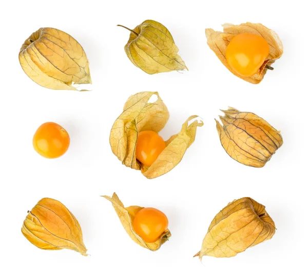 Set of physalis on a white. The form of the top. — Stock Photo, Image