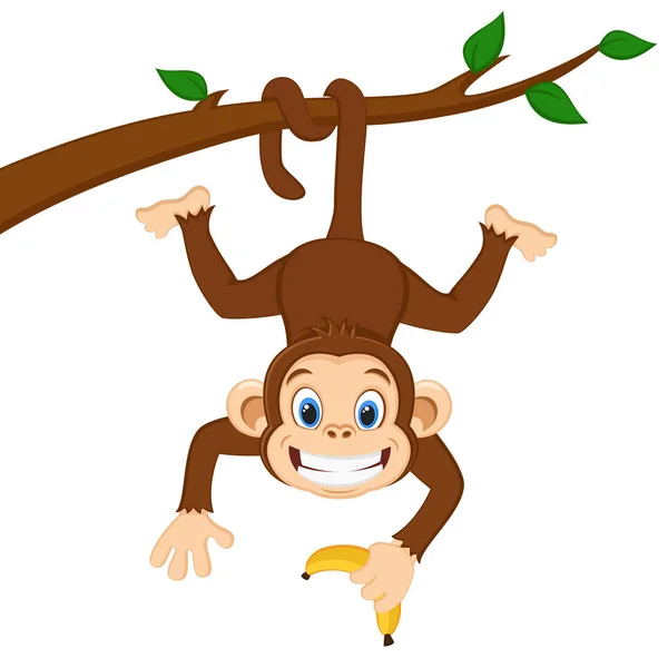 猴子挂在树枝上, 拿着一根香蕉在白色上. — 图库矢量图片