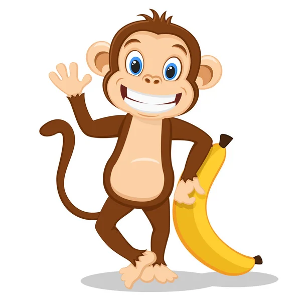 Мавпа з великим бананом на білому . — стоковий вектор